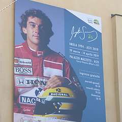 Senna_4.JPG