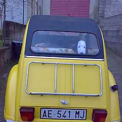 011220071275.jpg