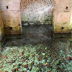 Padula_11__054.jpg