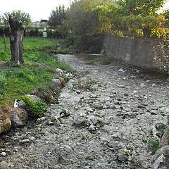 Padula_11__059.jpg