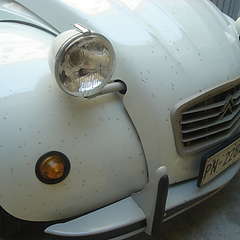 DSC04331.JPG