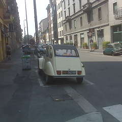 IMG00361.jpg