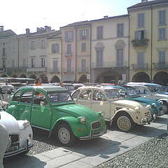 IMG01355.jpg