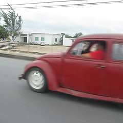 IMG_1685.JPG