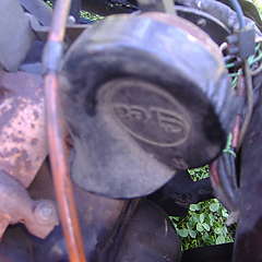 DSCF6100.JPG