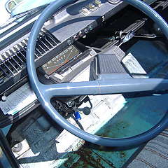 DSCF6101~0.JPG