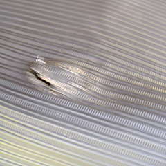 DSCF6111.JPG