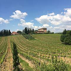IMG_0258.JPG