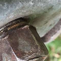 IMG_2707.JPG