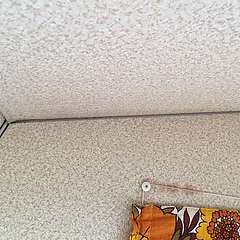 IMG_2732.JPG