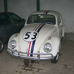 Herbie_003.jpg