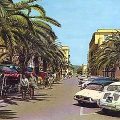 Nome del file=Squalo_Vittorino.jpg
Dimensione del file=93KiB
Dimensioni=573x397
Aggiunta il=%07 %770 %2016 Squalo_Vittorino.jpg