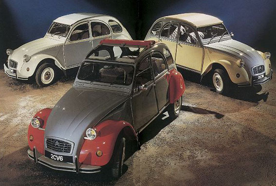 evo2cv-dolly-1