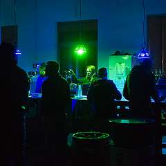 _DSC8455.jpg
