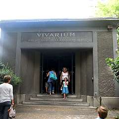 deco2.JPG