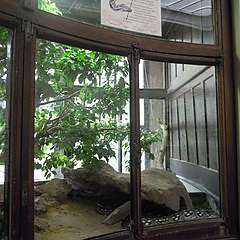 deco5.JPG