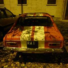 Torino_FordCapri_3_nov14.jpg