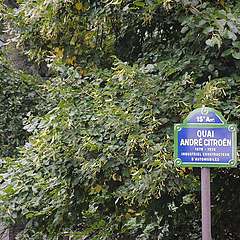 Immagine_315.jpg