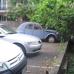 Nome del file=1_mil_cort.JPG
Dimensione del file=120KiB
Dimensioni=800x600
Aggiunta il=23 Giu 2009 1_mil_cort.JPG
