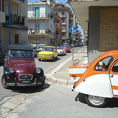 Immagine_124.jpg