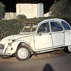 2CV_SPINACETO_05~0.jpg
