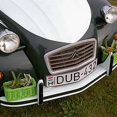 PICT7588.JPG