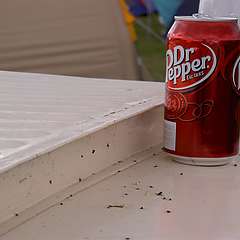 PICT7727.JPG